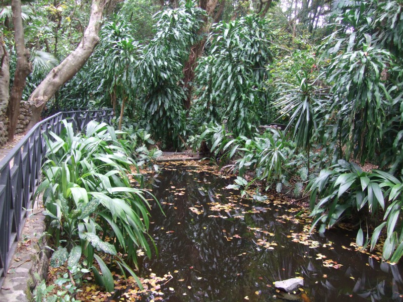 Mauritius 2010 - 0320 